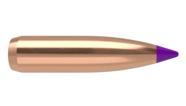 Nosler 6mm 90gr Ballistic Tip Hunting (50 stk)