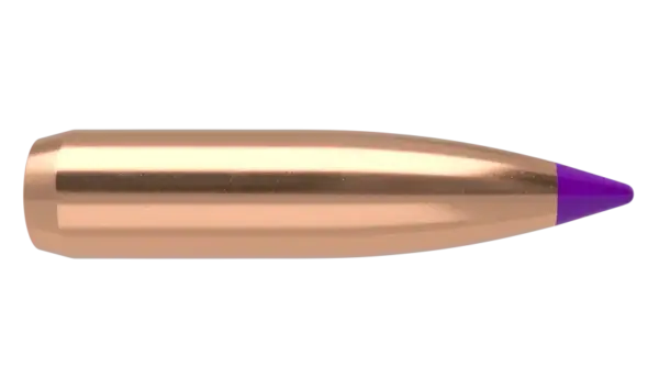 Nosler 6mm 95gr Ballistic Tip Hunting (50 stk)