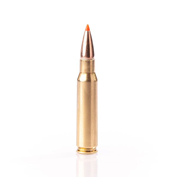 Fiocchi .308 Winchester EPN 180gr. 20 stk