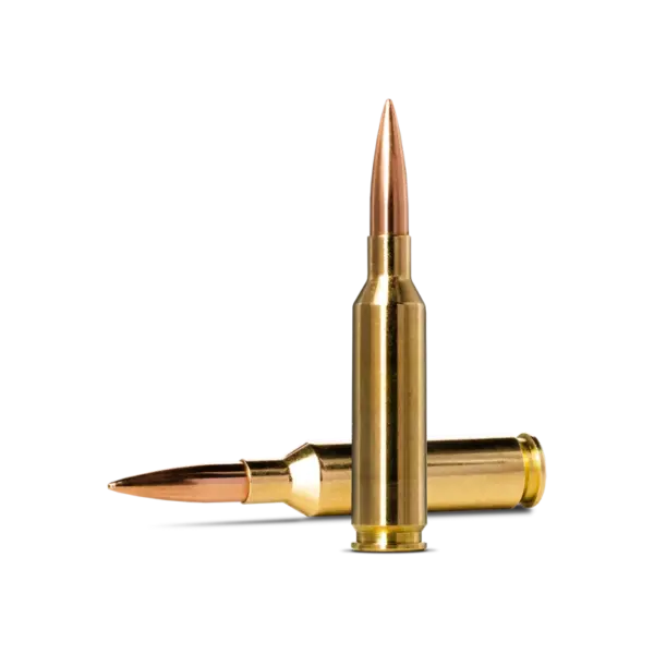 Norma Golden Target 6mm Creedmoor 107gr