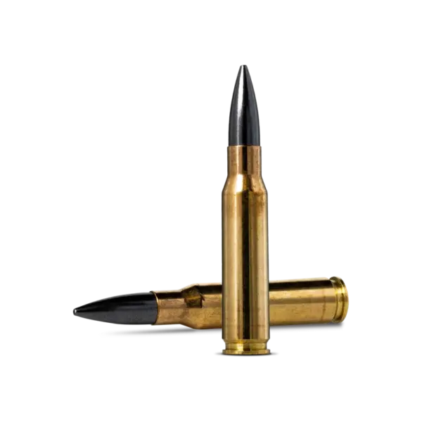 Norma Diamond Line Match .308 Winchester 168gr