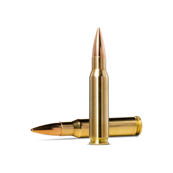 Norma Golden Target .308 Winchester 168gr