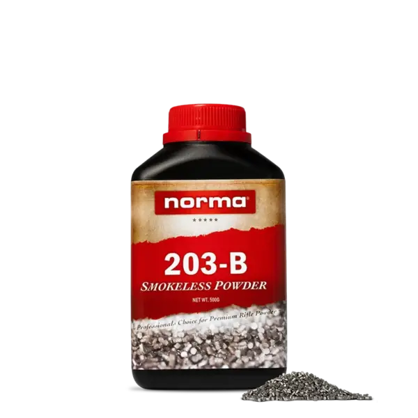 Norma 203-B