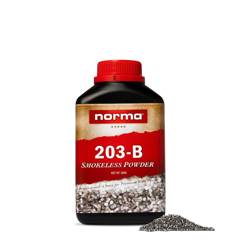 Norma 203-B
