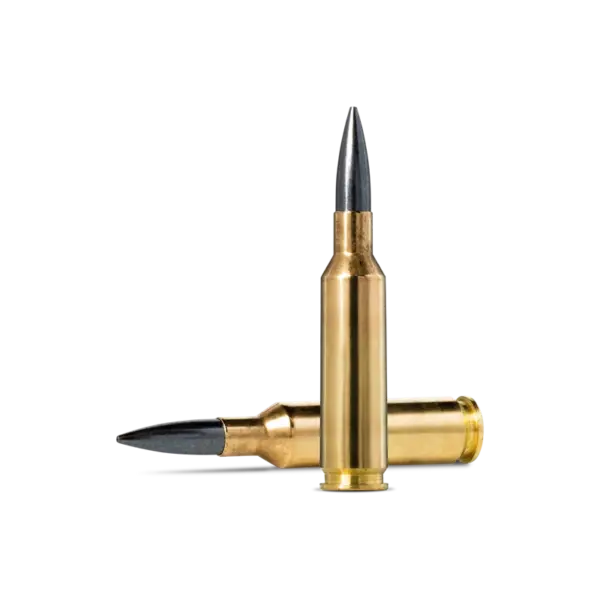 Norma Diamond Line 6XC 105gr