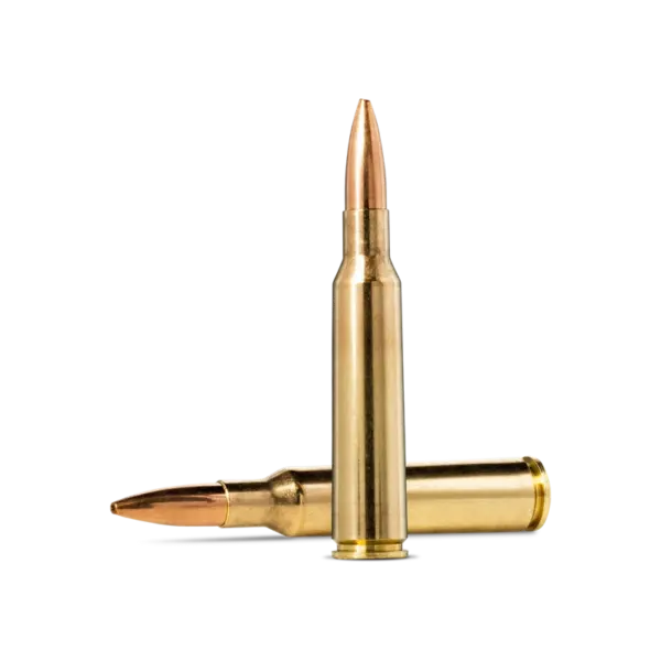 Norma HP Rekrutt 6,5x55 100gr