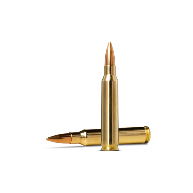 Norma Golden Target 223 Remington 69gr